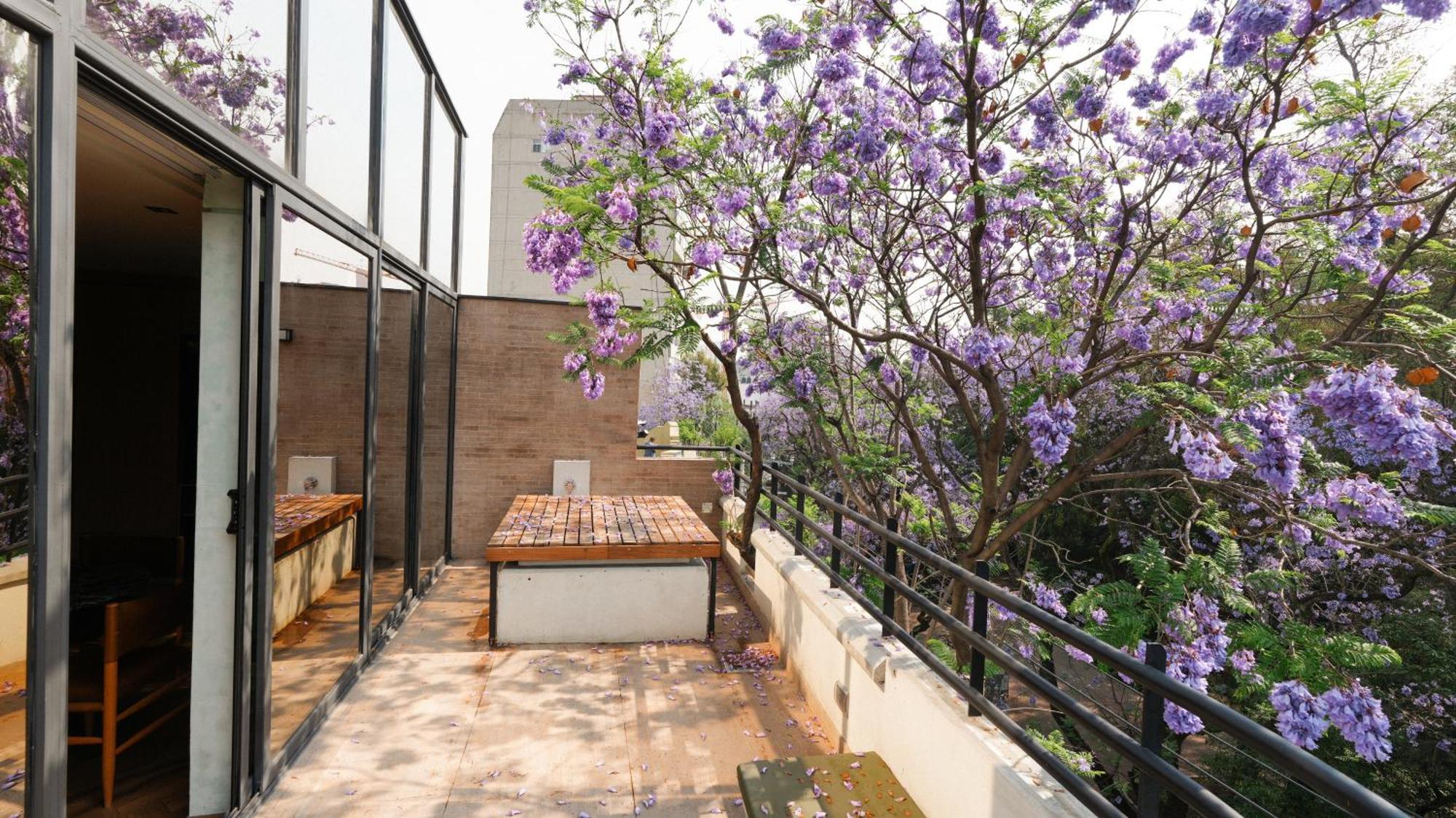 Rodona Hotel Ciudad de México Exteriér fotografie